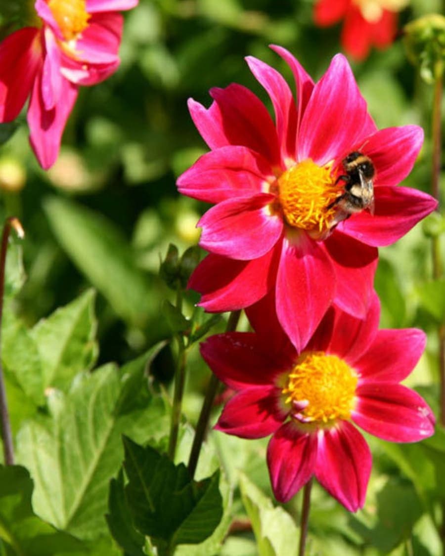 Visual Identity image 1